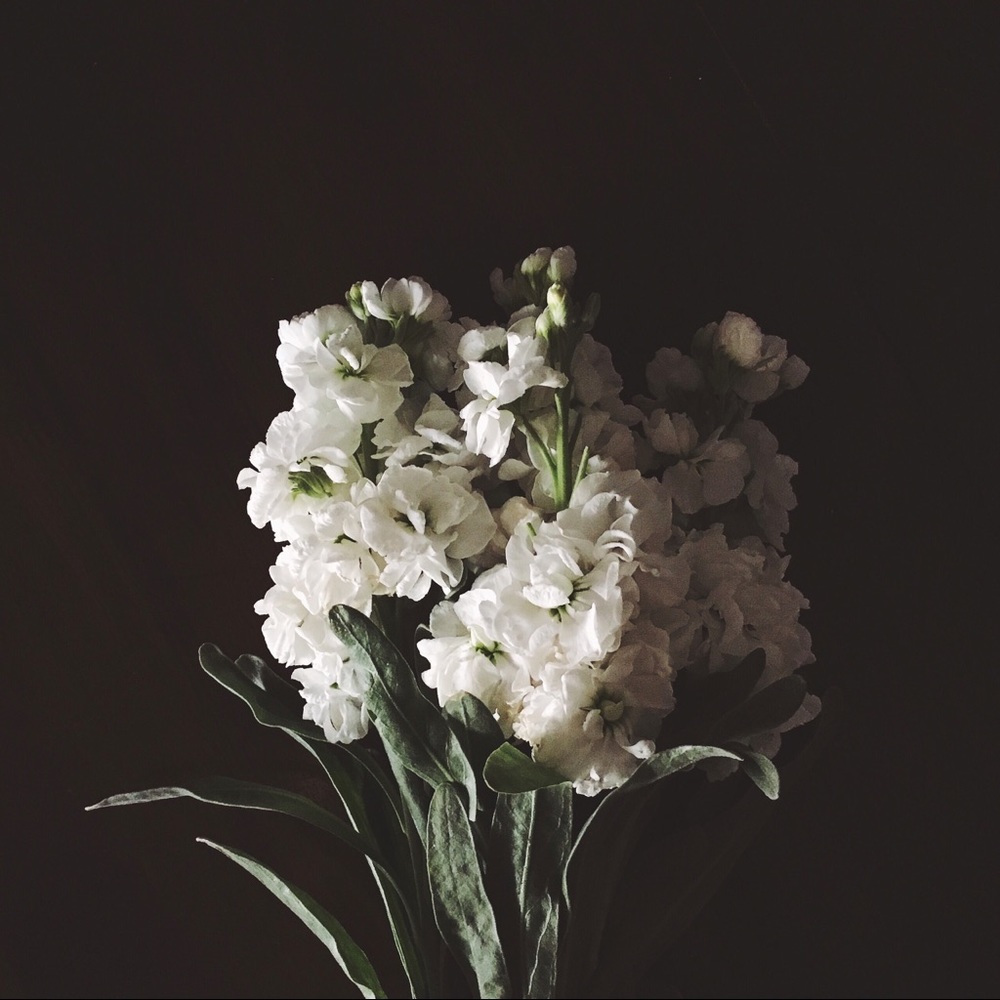 Meet your Posher, Faren